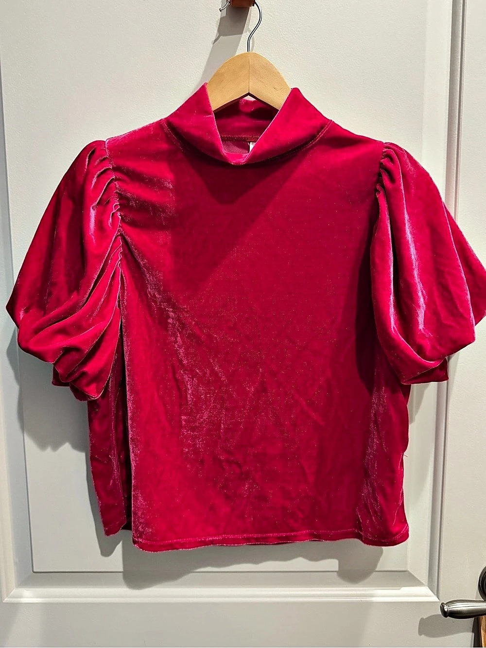Free People Claudia Velvet Puff Sleeve Top Pink